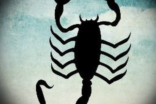Kraken 24at