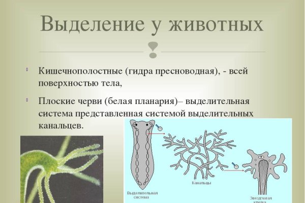 Правильная ссылка на кракен