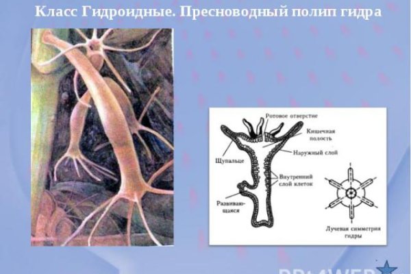 Кракен маркет даркнет только через тор скачать