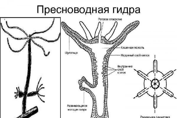 Зарегистрироваться на сайте кракен