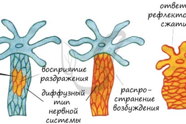 Кракен сайт ссылка